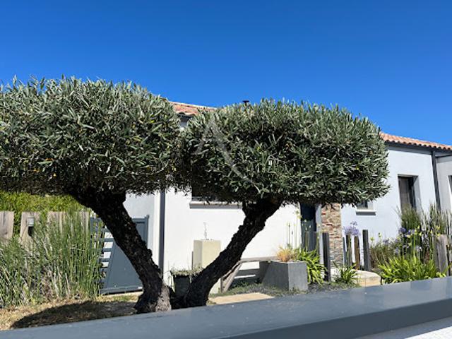 Location Maison 4 pièces 89.6 m2 Brem sur Mer