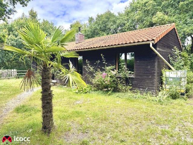 Location maison 4 pièces Saint Florent Des Bois 85