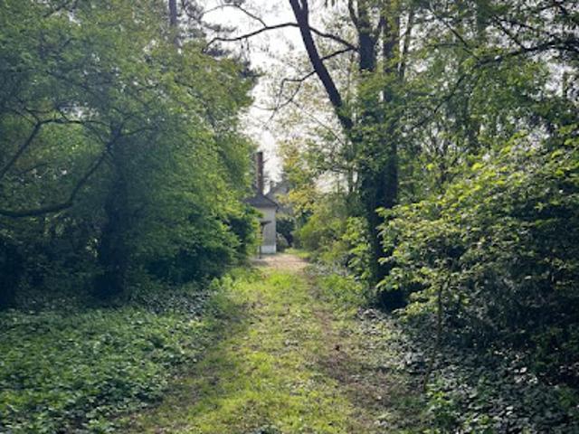 Location Maison 6 pièces 171 m2 Sucy en Brie