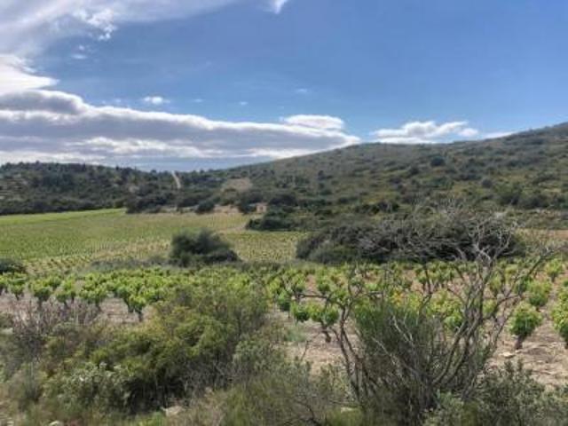 location maison candillargues frontignan 51 m2 herault 34130 990 € / mois