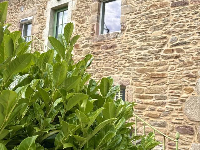 Location Maison de village 4 pièces