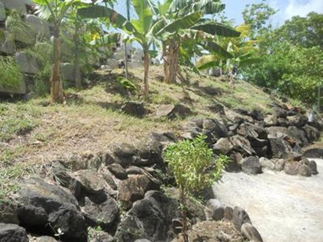 location maison schoelcher 5 pièces 100 m2 martinique 97233 650 € / mois