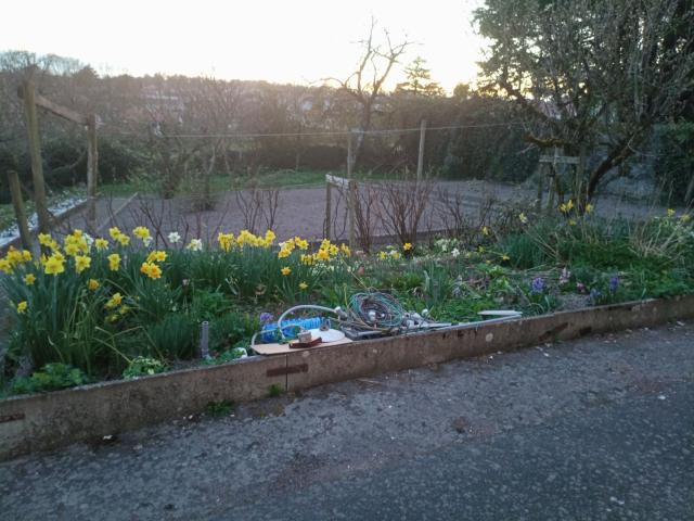 Location meublée avec jardin