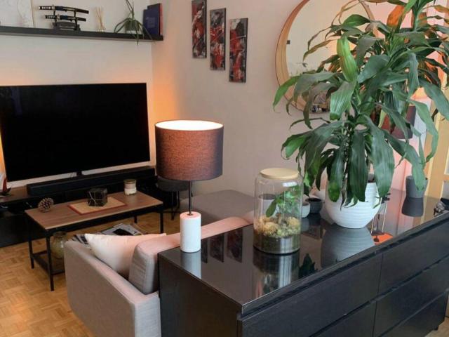 Location meublée appartement 3 pièces 60 m²