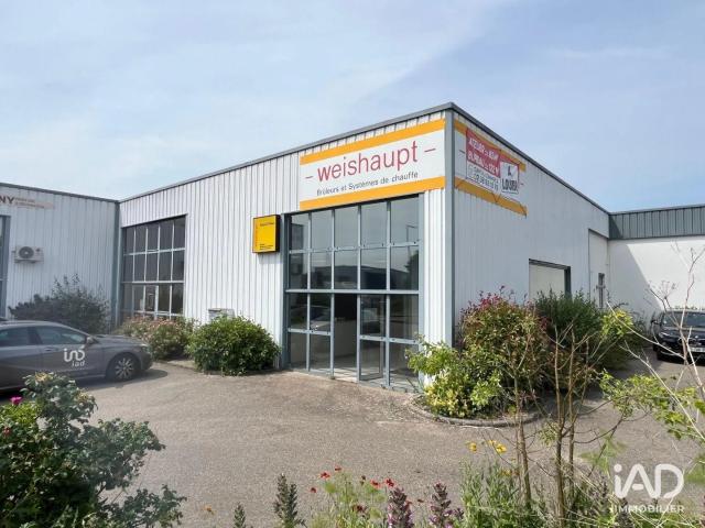 Location Murs commerciaux 202 m²