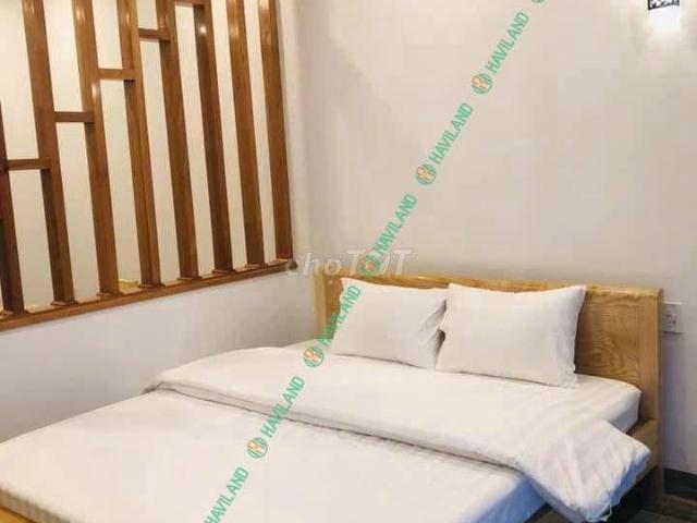 Location: Room 201, Ngo Thi Sy St, Ngu Hanh Son