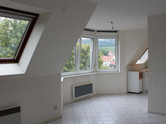 Location Spacieux 1 pièce | TMG Terres et Maisons Gestion
