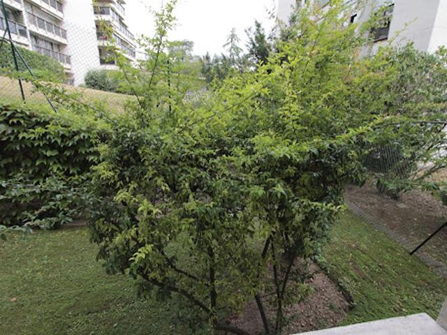 Location Studio 1 pièce 16 m2 Saint Cloud
