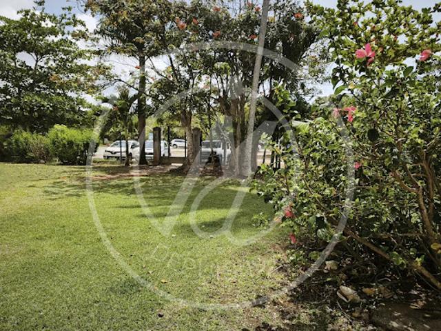 Location Studio 1 pièce 21.83 m2 Le gosier