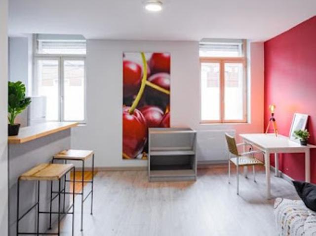 Location Studio 1 pièce 24 m2 Valenciennes