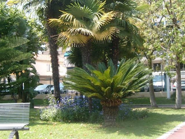 Location Studio 1 pièce 28.0 m2 Cannes la bocca