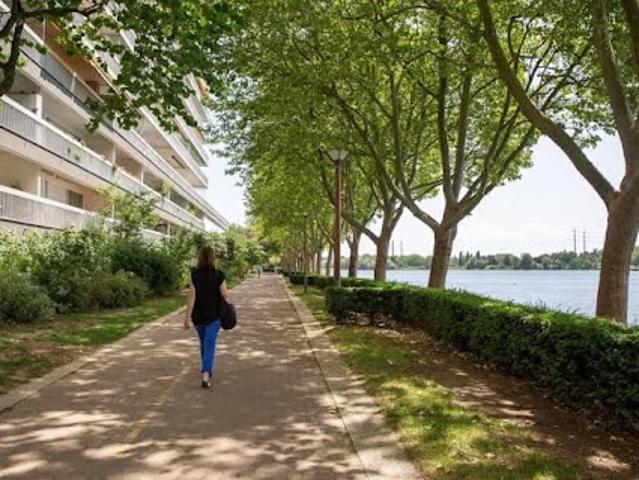 Location Studio 1 pièce 33 m2 Creteil