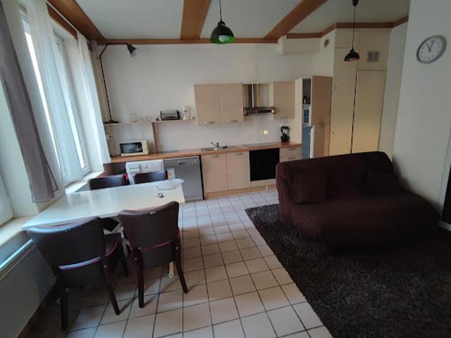 Location Studio 1 pièce 39 m2 Lyon 5ème