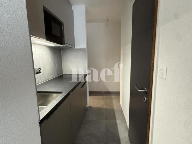 Location Studio 1 pièce CHF 1'450. /mois 24 m2 | immobilier.ch