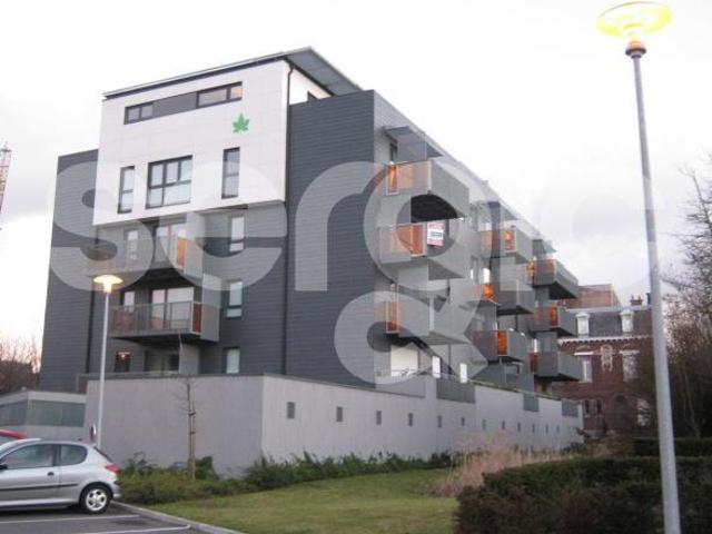 location studio 32 m² roubaix 59100
