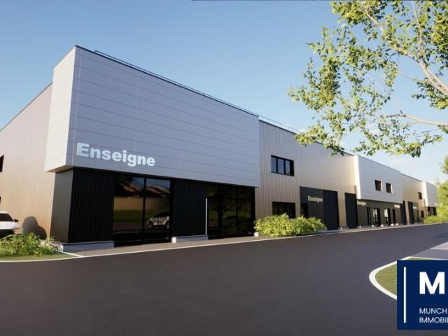 Locaux d'activité neufs à vendre Reichstett Proche A4 et A35