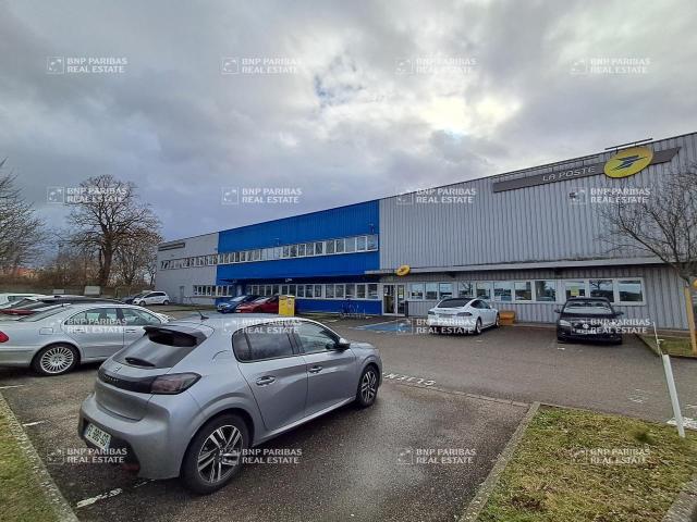 Locaux d'activité à vendre Schiltigheim Zone Mittelfeld