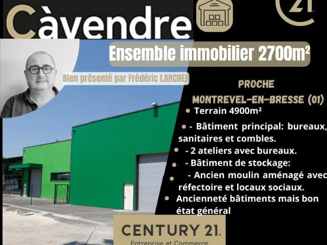Locaux d'activités à vendre Montrevel en Bresse Proximité autoroute