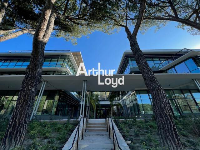 Locaux mixtes neufs à louer Sophia Antipolis Proche A8