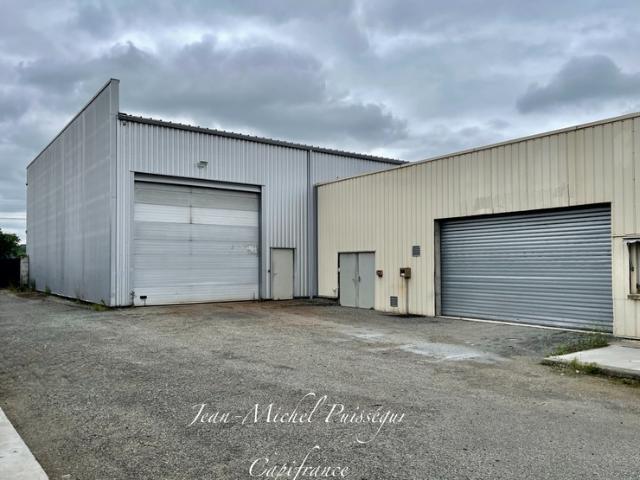 Locaux Professionnels de 2400m2 à vendre SAINT GAUDENS 31, Terrain 3800m2