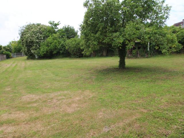 Loches Vente Terrain 37