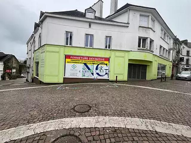 Locminé 56500 Achat / Vente divers
