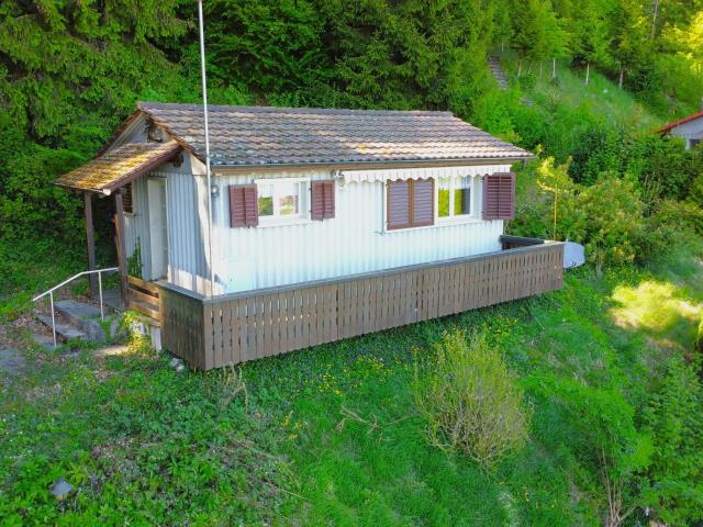 Lodge with 1.5 rooms on sale in Wil ZH 28 m² | dreamo. Ch