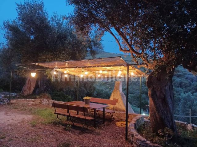 Loft, ottimo stato, piano terra, Centola