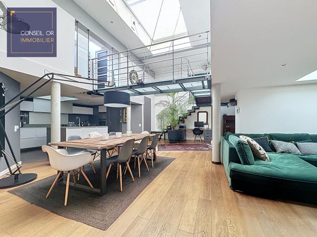 Loft atypique 180m2 Jardin privatif proximité immédiate métro B Lyon Gerland