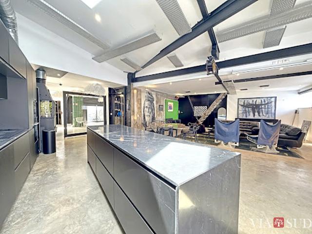 Loft avec terrasse
