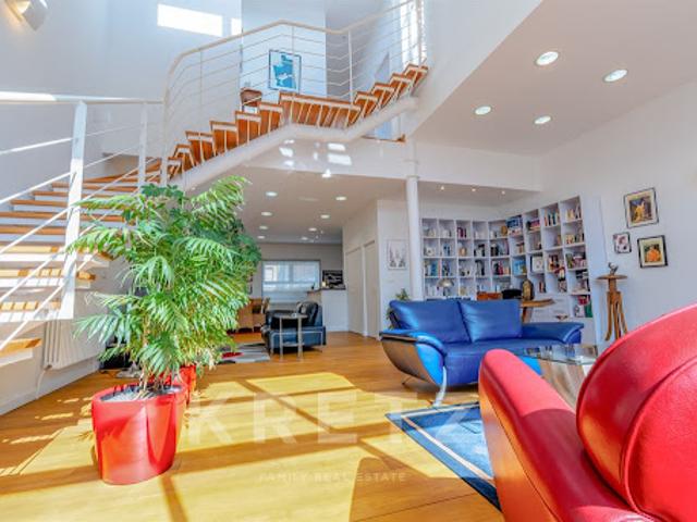 Loft avec terrasse