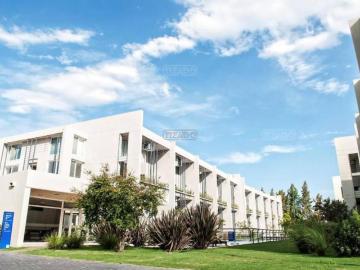 LOFT Ayres Vila |MPU4149