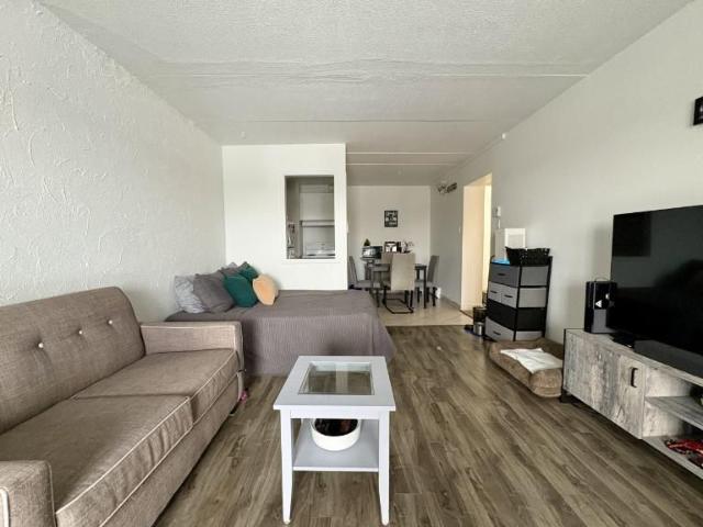 Loft à louer Sainte Foy / Sillery juillet 2026