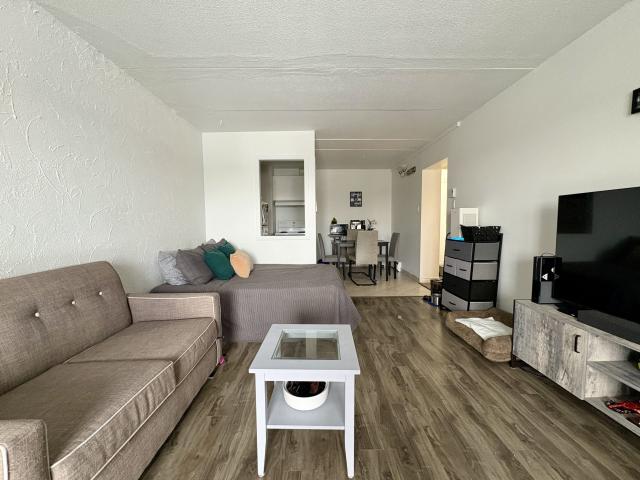 Loft à louer Sainte Foy / Sillery juillet 2026