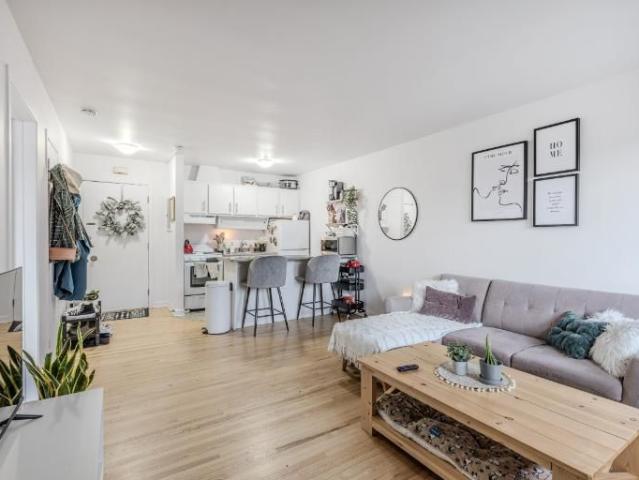 Loft à louer Sainte Foy / Sillery septembre 2026