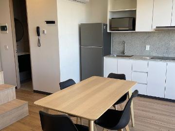 LOFT AMUEBLADO EN RENTA EN COL. LAFAYETTE A 1 CUADRA DE CHAPULTEPEC