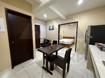 Loft Amueblado en Renta en Fraccionamiento Brisas del Carrizal