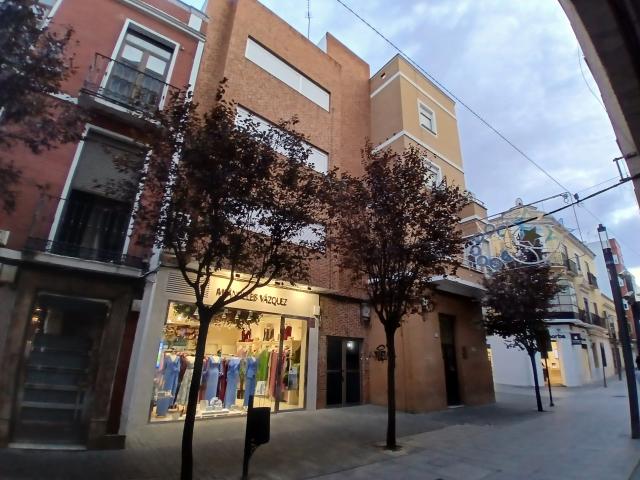 LOFT AMUEBLADO PARA ALQUILER TEMPORAL. ZONA CENTRO CASCO ANTIGUO