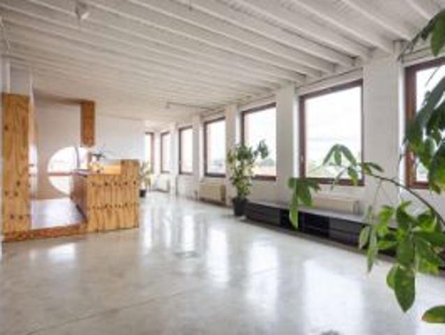 Loft Anyplace