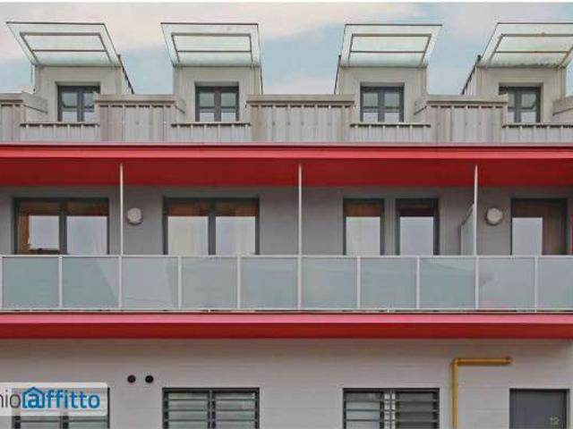 Loft arredato con terrazzo Cit turin