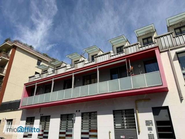 Loft arredato con terrazzo Cit turin