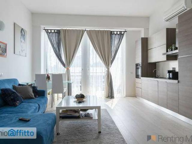Loft arredato con terrazzo Forlanini, umbria, lodi, corvetto, rogoredo