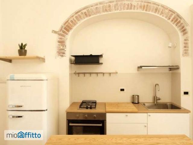 Loft arredato Pontasserchio, pappiana