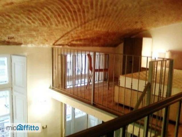 Loft arredato San salvario