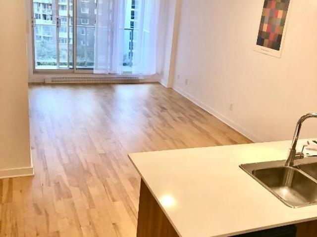 Loft condo tres bien situe a Ahuntsic