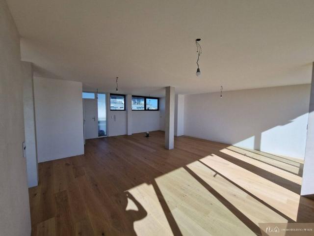 Loft de închiriat 1.152 € 1,5 camere • 71,6 m² • etajul 4 Viena, Donaustadt 1220