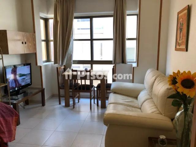 Loft en alquiler en Calle Maestra Nacional María Maroto, 5