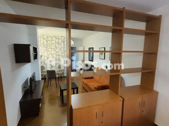 Loft en alquiler en Calle de La Paz