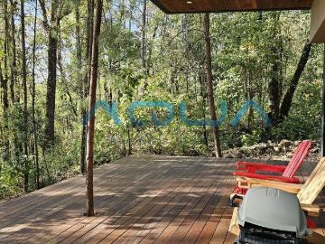 LOFT EN EL BOSQUE