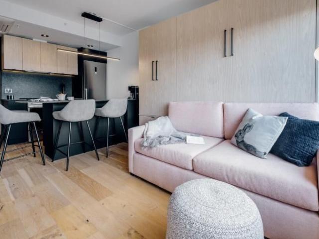 Loft entièrement meublé à louer Saint Jean Baptiste août 2026